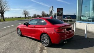 Lízing Kupé BMW 220 2017