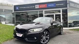 Lízing Kabriolet BMW 220 2015