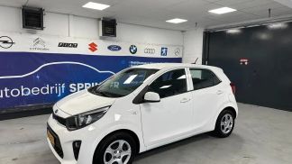 Leasing Hatchback Kia Picanto 2021