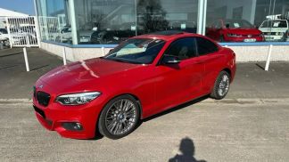 Lízing Kupé BMW 220 2017