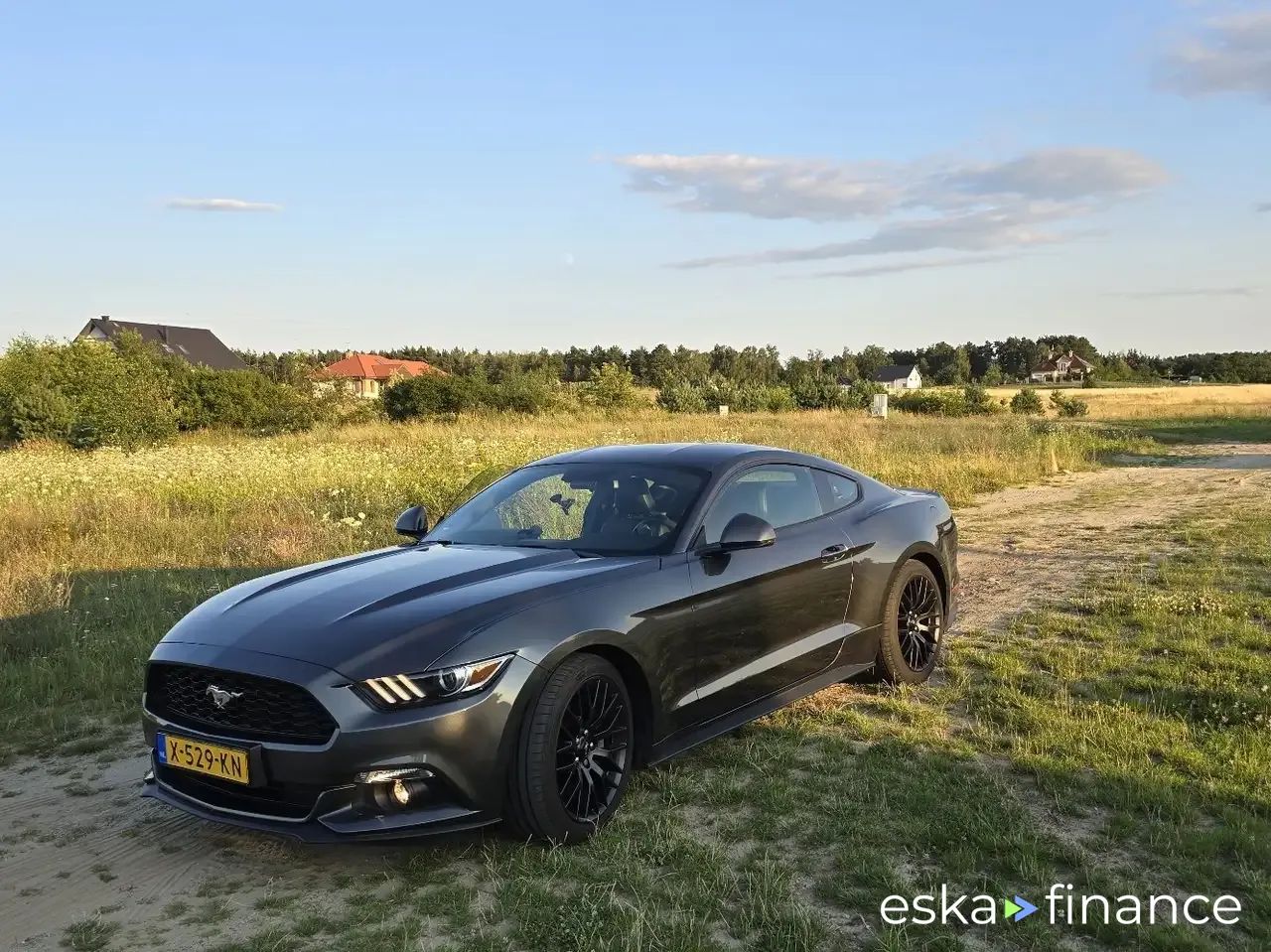 Financování Kupé Ford Mustang 2017