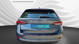 Leasing Wagon Skoda Octavia 2021