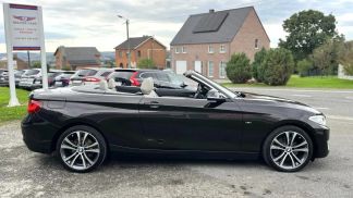 Lízing Kabriolet BMW 220 2015