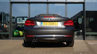 Financování Konvertibilní BMW 220 2018