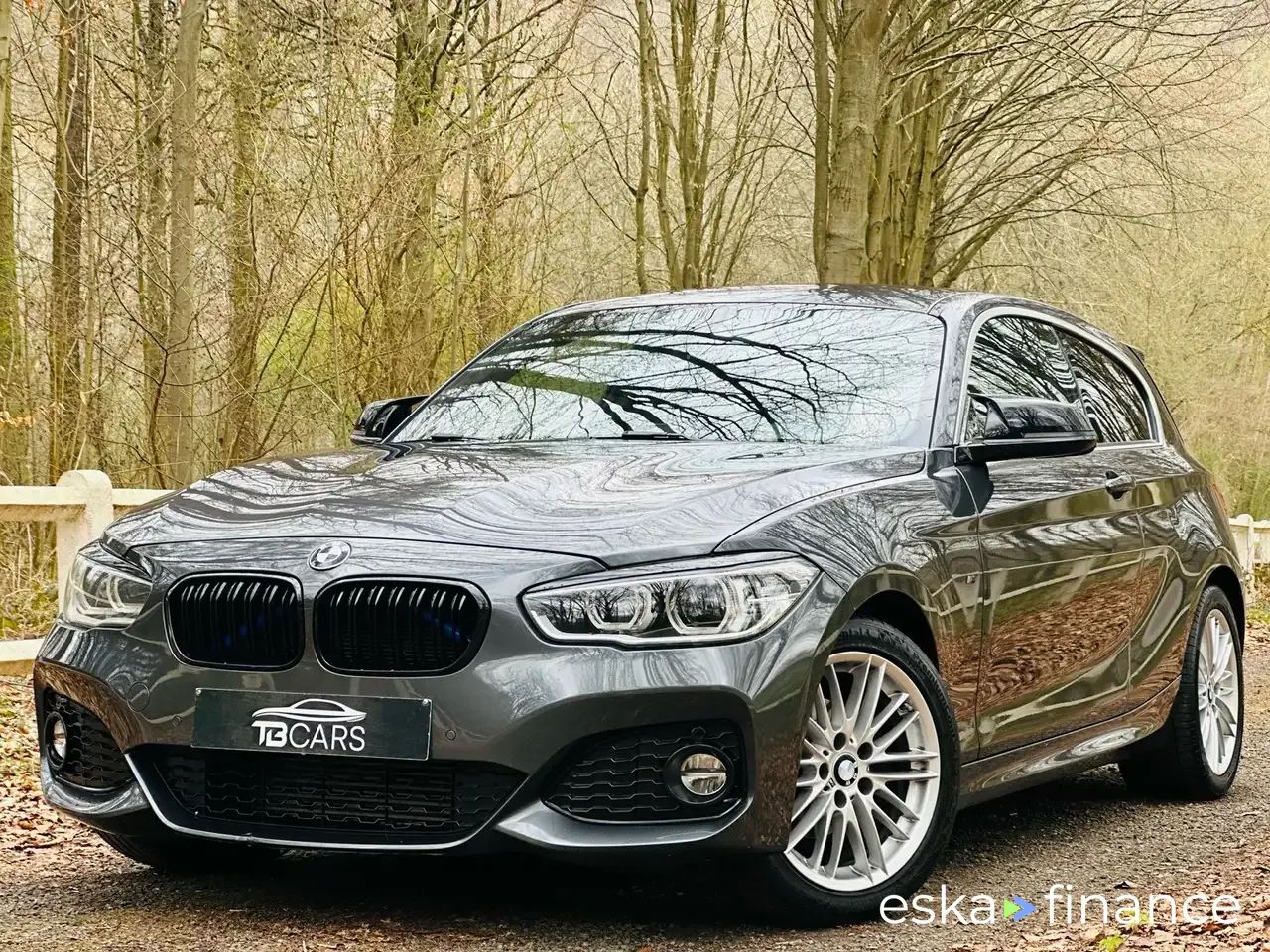Leasing Hayon BMW 116 2018