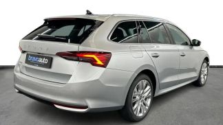 Leasing Wagon Skoda Octavia 2024