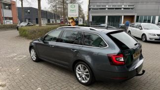 Leasing Wagon Skoda Octavia 2019