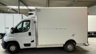 Specjalna ciężarówka Fiat Ducato 2019