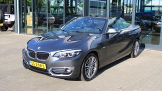 Financování Konvertibilní BMW 220 2018