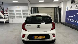 Leasing Hatchback Kia Picanto 2021