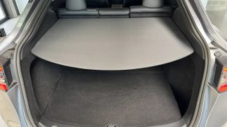 Leasing SUV Tesla Model Y 2024