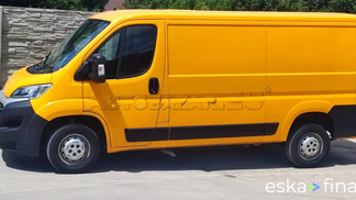 Van Fiat Ducato 2019