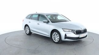 Leasing Wagon Skoda Octavia 2025