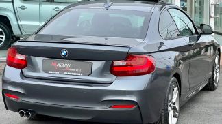 Lízing Kupé BMW 220 2016