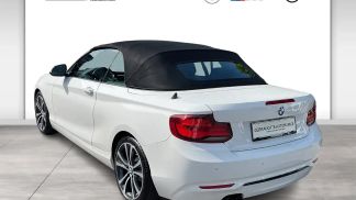 Financování Konvertibilní BMW 220 2020