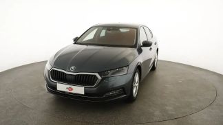 Leasing Sedan Skoda Octavia 2020