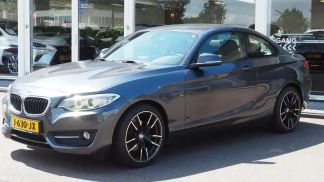 Lízing Kupé BMW 220 2014