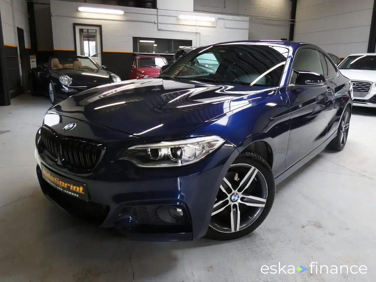 Lízing Kupé BMW 218 2017