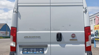 Lízing Van Fiat Ducato 2020