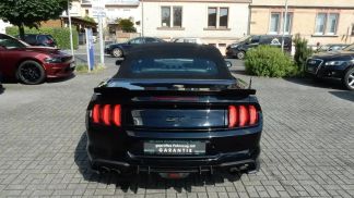 Lízing Kabriolet Ford Mustang 2019