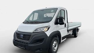 Lízing Sedan Fiat Ducato 2024