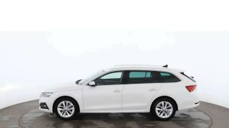 Leasing Wagon Skoda Octavia 2021