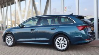 Leasing Wagon Skoda Octavia 2022