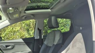 Leasing Wagon Seat Leon 2018