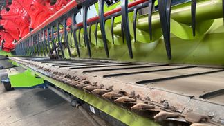 Leasing Combine grain harvester Claas Lexion 8800TT 2022