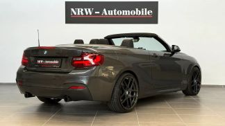 Lízing Kabriolet BMW 235 2015