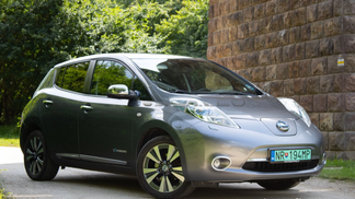 Leasing Hatchback Nissan Leaf 2014