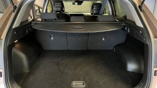 Leasing SUV Kia Sportage 2022