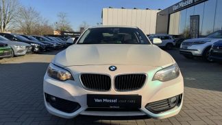 Leasing Coupe BMW 220 2014