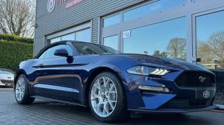 Leasing Convertible Ford Mustang 2020