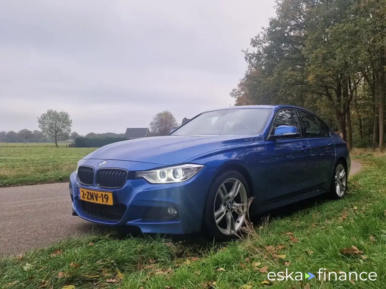 Lízing Sedan BMW 316 2015