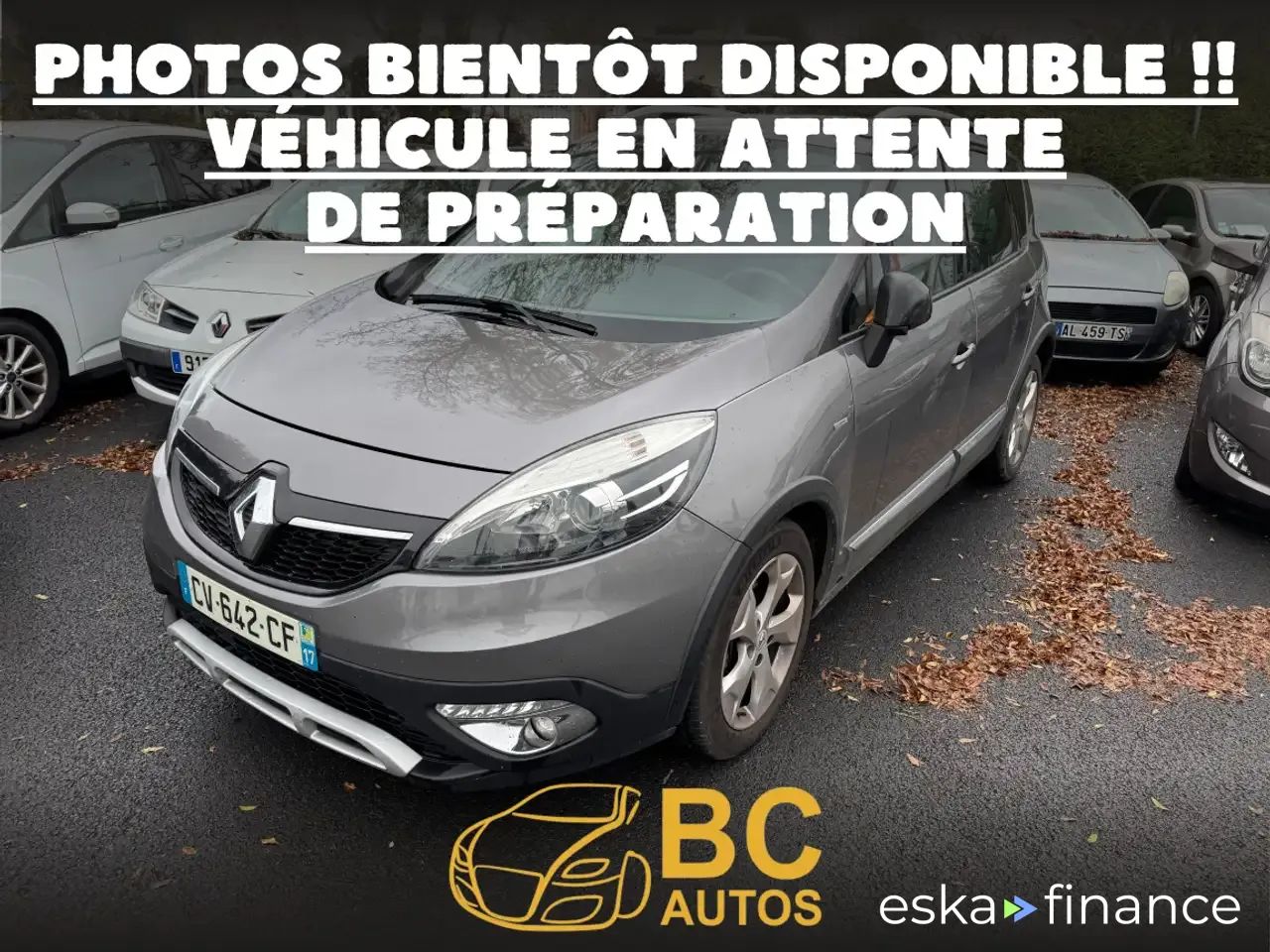 Leasing Passenger transport Renault Scenic 2013