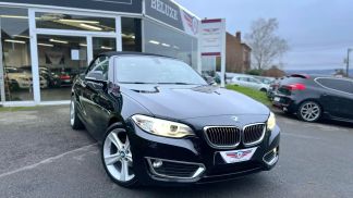 Lízing Kabriolet BMW 218 2016