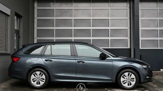 Leasing Wagon Skoda Octavia 2021