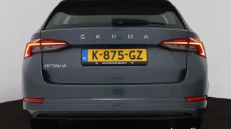 Leasing Wagon Skoda Octavia 2020