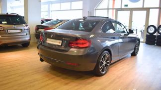 Financování Kupé BMW 220 2019