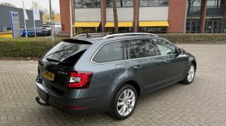 Leasing Wagon Skoda Octavia 2019