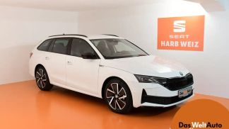 Leasing Wagon Skoda Octavia 2024