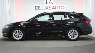 Leasing Wagon Skoda Octavia 2022