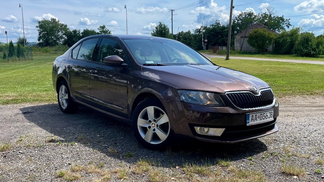 Leasing Sedan Skoda Octavia 2014