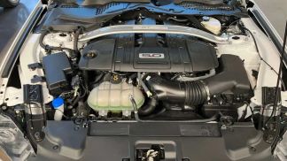 Leasing Convertible Ford Mustang 2023