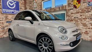 Leasing Hayon Fiat 500 2020