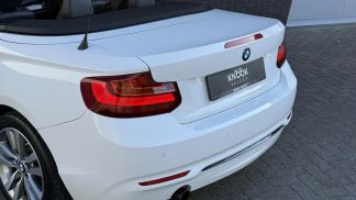 Lízing Kabriolet BMW 218 2015