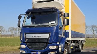 Leasing Special truck DAF LF 260 2017