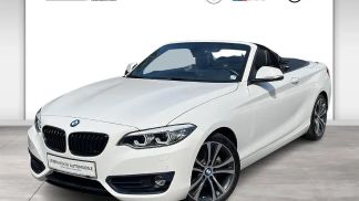 Financování Konvertibilní BMW 220 2020