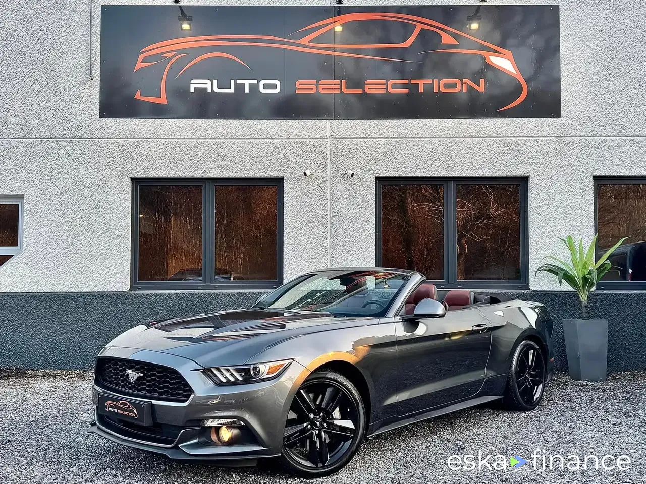 Leasing Convertible Ford Mustang 2016